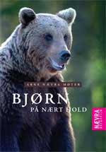 Brunbj�rn p� n�rt hold (DVD)